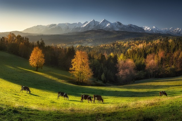 Przełęcz nad Łapszanką to niezwykle urokliwe miejsce, które zachwyci Cię widokami i klimatem. To właśnie tutaj powstało wiele jesiennych zdjęć, które podbiły Internet. Przejdź do galerii i zobacz, jak piękne, jesienne zdjęcia przedstawiające nie tylko przyrodę, ale także siebie i swoją rodzinę możesz tu wykonać!