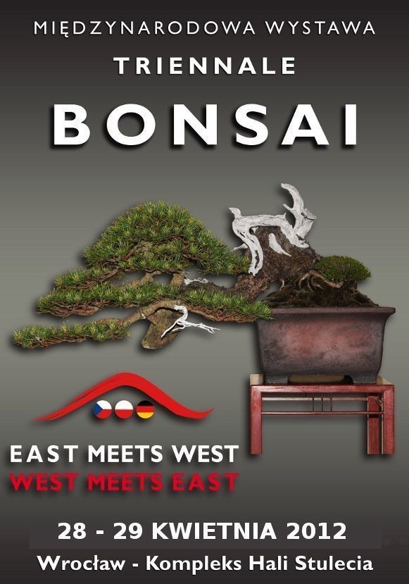 MIĘDZYNARODOWA WYSTAWA BONSAI

ZOBACZ PEŁEN KALENDARZ IMPREZ