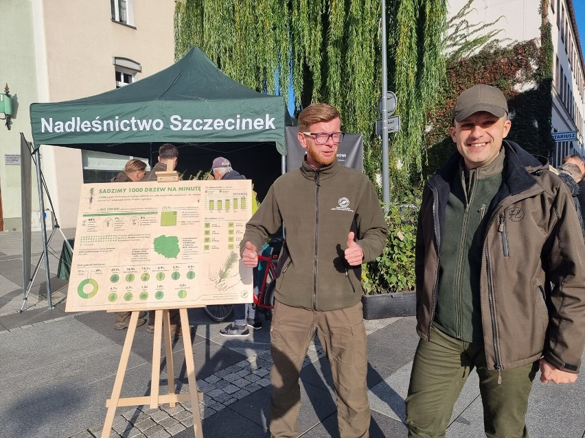 Szczecineccy leśnicy rozdają sadzonki drzew. Warto się pośpieszyć [zdjęcia]