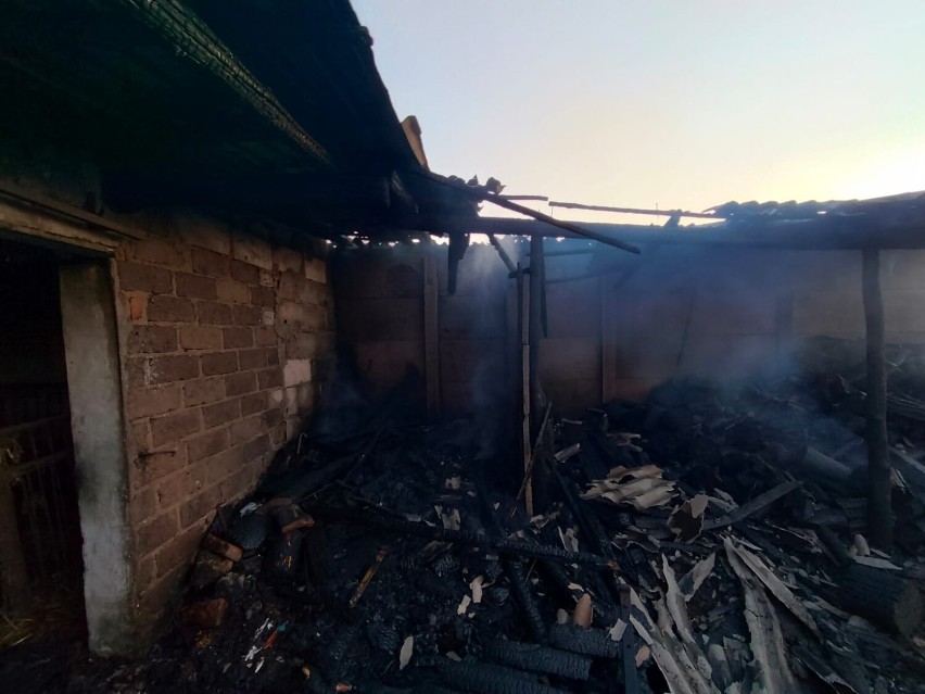 Pożar w gospodarstwie rolnym. Strażacy uratowali zwierzęta z płonącego budynku