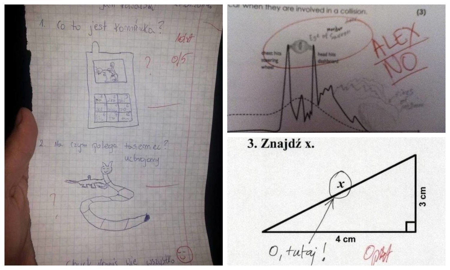 Cele mai recente lovituri amuzante de cărți, chestionare și chestionare.  Profesorul a plâns în timp ce corecta.  Flori noi din caietele școlii pe 19 februarie 2022