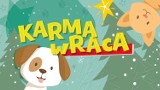 "Karma wraca" w Bydgoszczy i Osielsku. Odbierz choinkę w zamian za wsparcie schronisk dla zwierząt