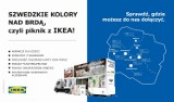 IKEA zaprasza na rodzinne pikniki w siedmiu miastach regionu