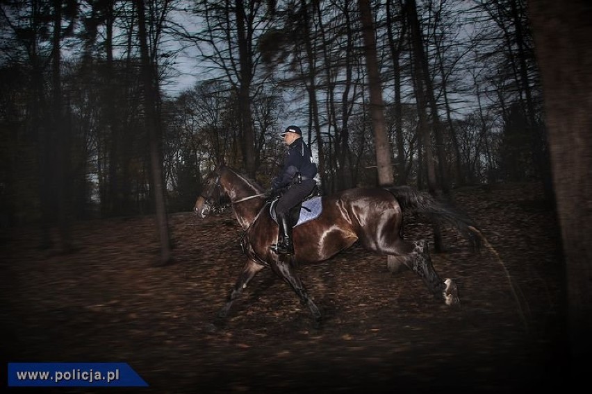 Zdjęcia z wystawy "NOWOCZESNA POLICJA W OBIEKTYWIE"