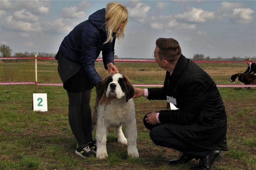 I Krajowa Wystawa Bernardynów w Międzychodzie (13.04.2019)