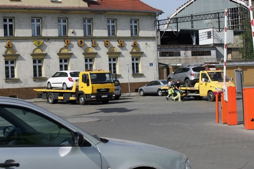 Niedzielna akcja Straży Miejskiej w Legnicy [ZDJĘCIA]