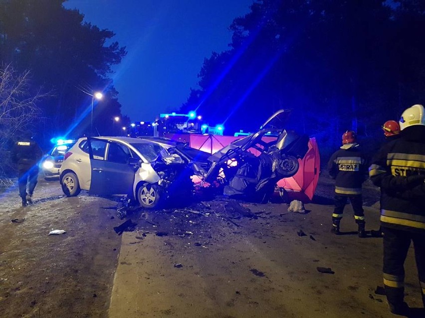 Zderzenie dwóch samochodów przy Niebieskich Źródłach w Tomaszowie Maz., jedna osoba nie żyje [ZDJĘCIA]