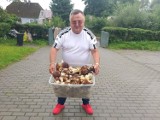Masa grzybów w lasach koło Słupska i Ustki. Oto zbiory kań i borowików! [ZDJĘCIA]