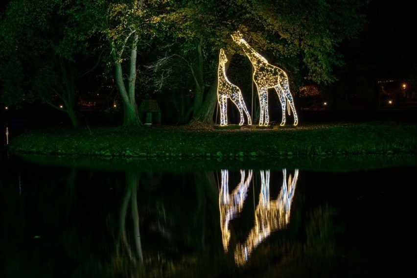 Tysiące światełek rozświetla park przy zamku Topacz w Ślęzie...