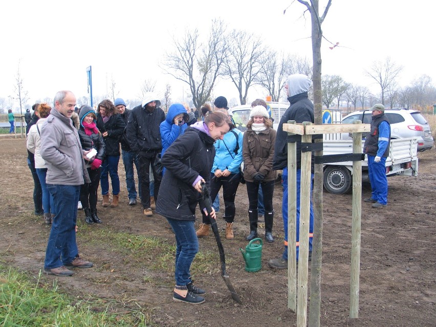 Grodzisk. Osiemnastolatkowie posadzili drzewa przy ulicy Poznańskiej