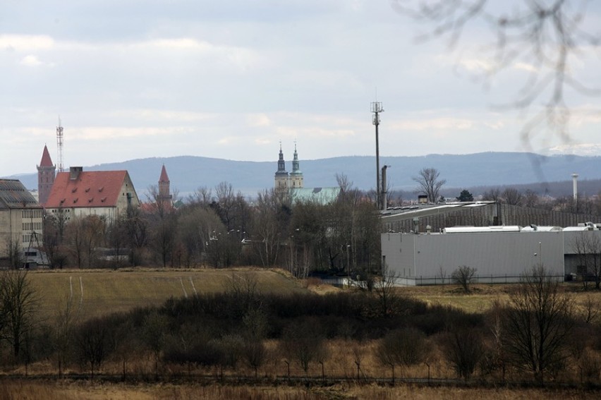 Panorama Legnicy z górki w lasku przy ulicy Polkowickiej [ZDJĘCIA]