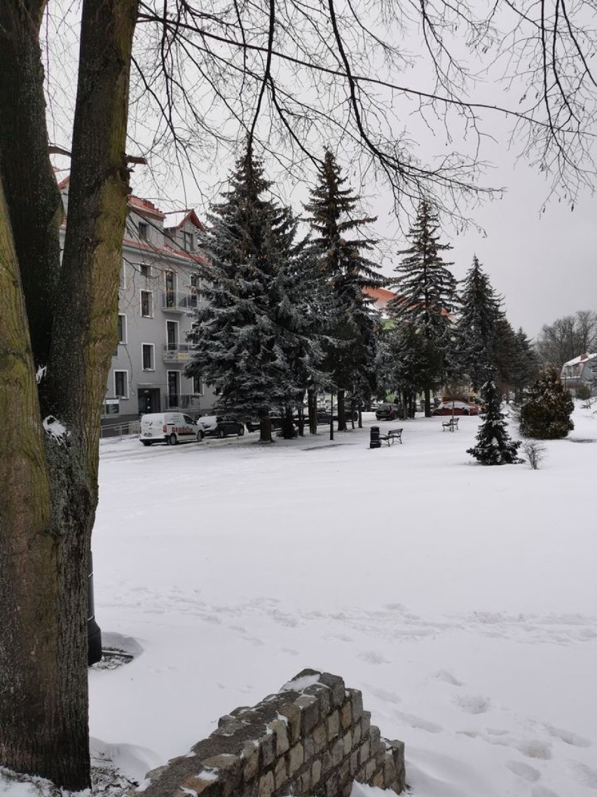 Zimowe zdjęcia okolicy w wykonaniu Czytelników.