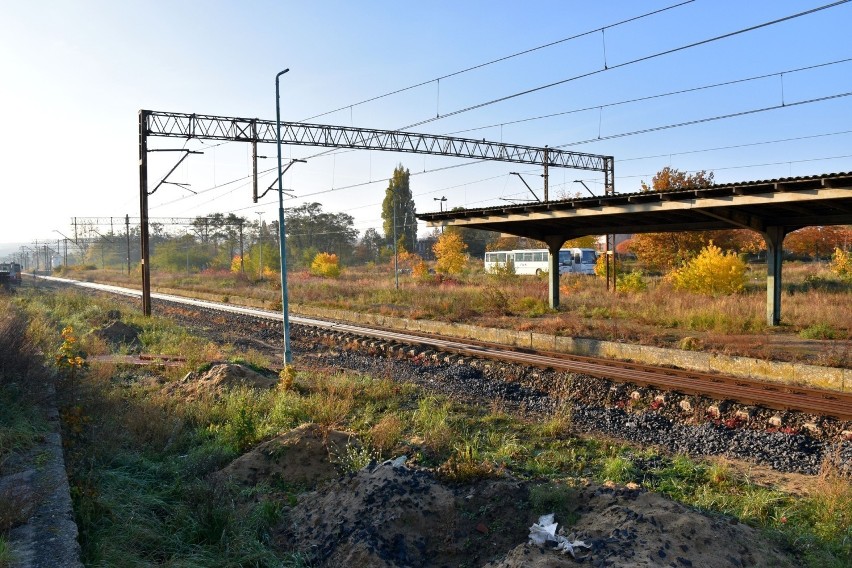 Wejście wykonawcy zastępczego na plac budowy planowane jest...