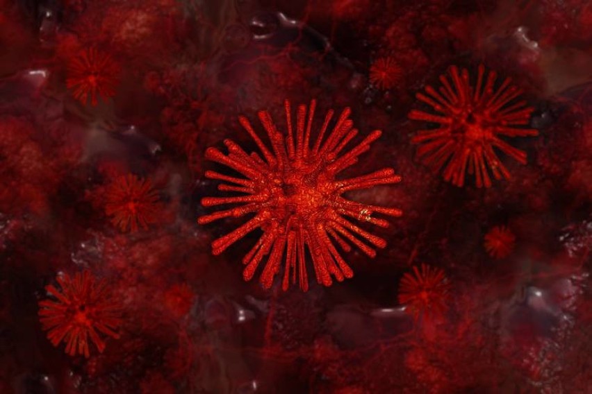Odpowiedź na wpis lekarki z Rybnika: "Testów na koronawirusa robimy na Śląsku mnóstwo. Więcej działań niż potrzeba" - mówi Urząd Wojewódzki