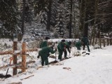 Tatry: więźniowie pomagają przyrodnikom