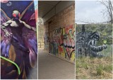 Graffiti po głogowsku. Są w naszym mieście piękne prace, ale też szpetne bohomazy. Zdjęcie