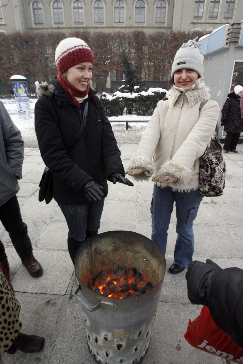 Pojawiły się koksowniki na legnickich chodnikach [ZDJĘCIA]