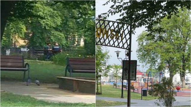 Na terenie parku pojawił się policjant, który wylegitymował wskazanego przez rodziców mężczyznę