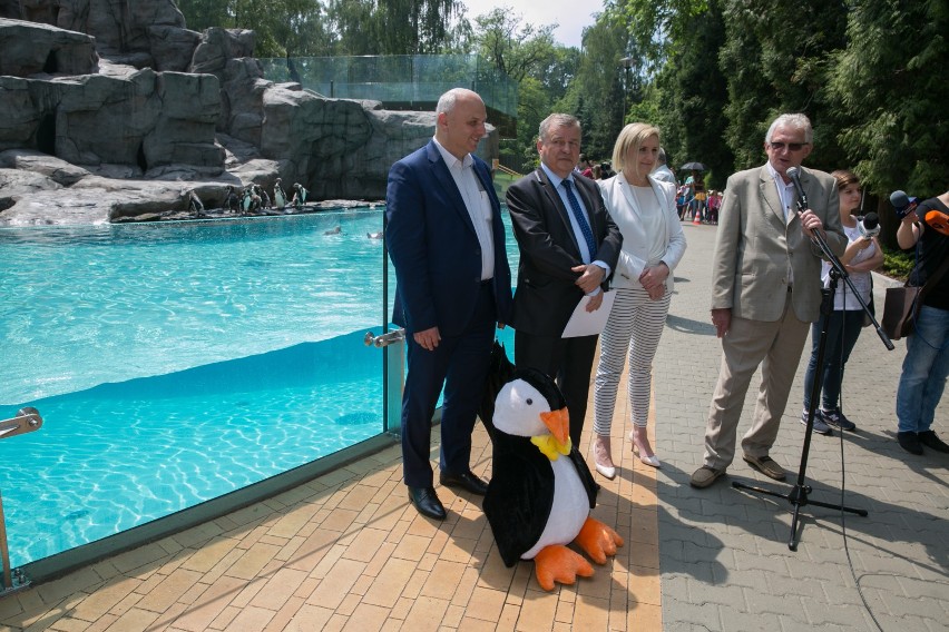 Otwarcie pingwinarium w krakowskim zoo [ZDJĘCIA]