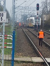 Wykolejenie pociągu pod Wrocławiem. Utrudnienia na linii kolejowej do Wałbrzycha - AKTUALIZACJA, ZDJĘCIA