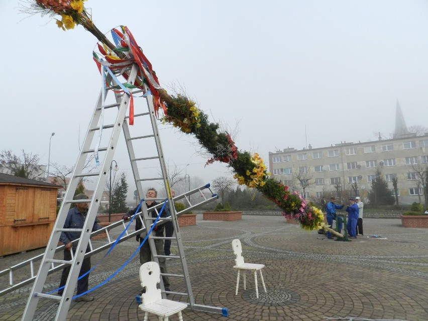 Ustawianie palmy na debrzneńskim Rynku