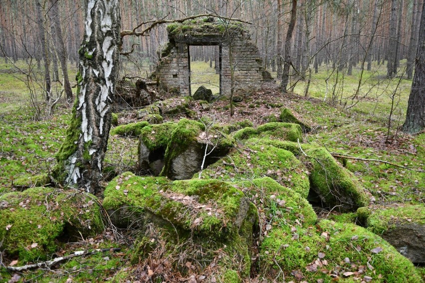 Większość budynków na terenie dawnych zakładów amunicyjnych...