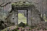 Mroczna tajemnica lubuskiego lasu. Kto ujawnił ten sekret, był srogo karany! Te ruiny nawet dziś robią straszne wrażenie...