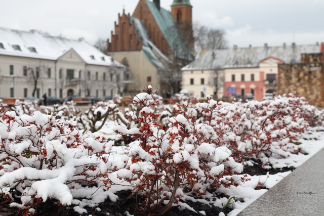 Kwietniowy atak zimy w Olkuszu