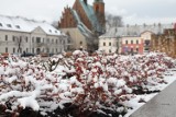Kwietniowy atak zimy w Olkuszu. Biały puch znów pokrył Srebrne Miasto. Zobacz zdjęcia