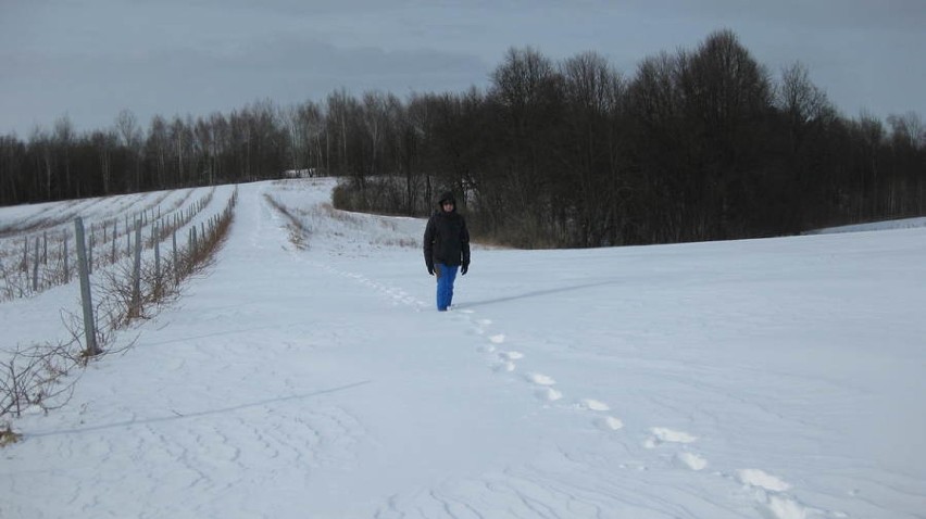 Zimowe spacery po powiecie puławskim. Słońce i śnieg po kolana (ZDJĘCIA)