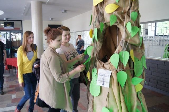 Dni Otwarte Funduszy Europejskich w Radomsku: Różewicz Open Festiwal