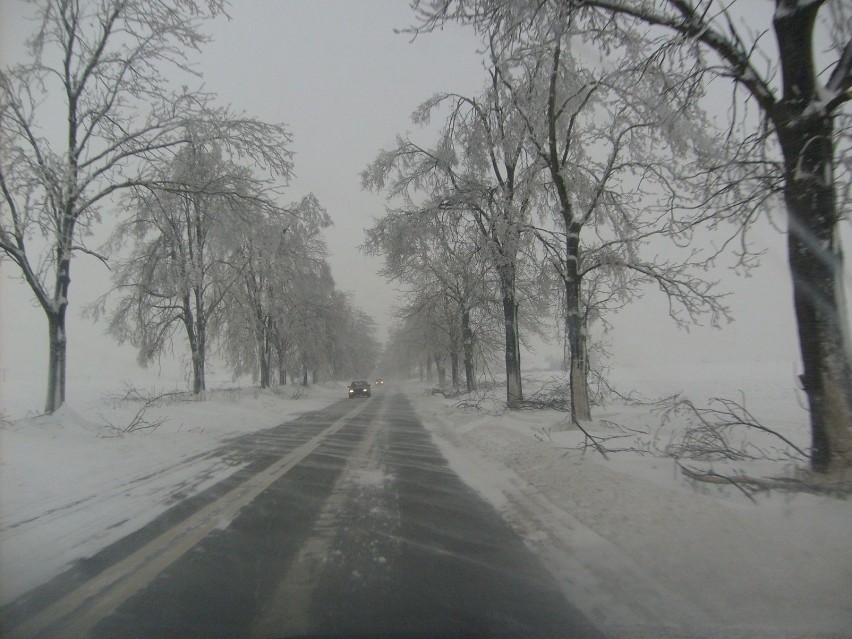 Wiatr zawiewał śniegiem drogi, łamał gałęzie drzew. Fot....