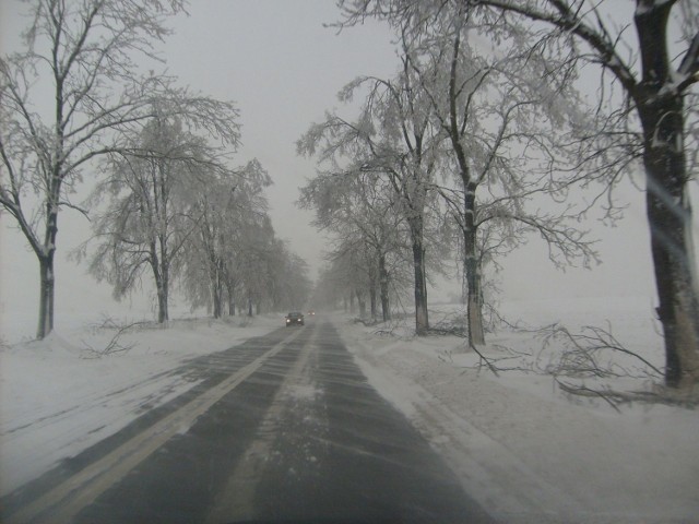 Wiatr zawiewał śniegiem drogi, łamał gałęzie drzew. Fot. Krzysztof Krzak