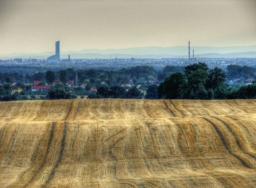 Widok na Sky Tower ze wsi Skarszyn. Jedno z ubiegłorocznych zdjęć dnia