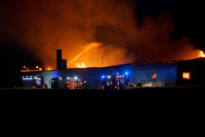 Pożar zakładu produkującego trumny w Zagorzynie pod Kaliszem