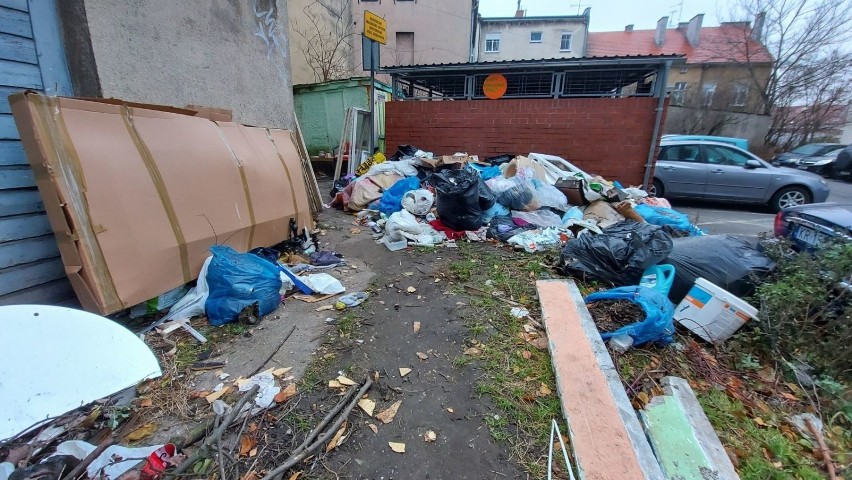 Problem ze śmieciami przy blokach na ulicy Owocowej w...