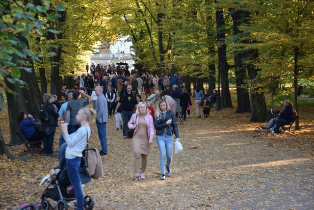 Złota polska jesień w pałacowym parku pszczyńskim