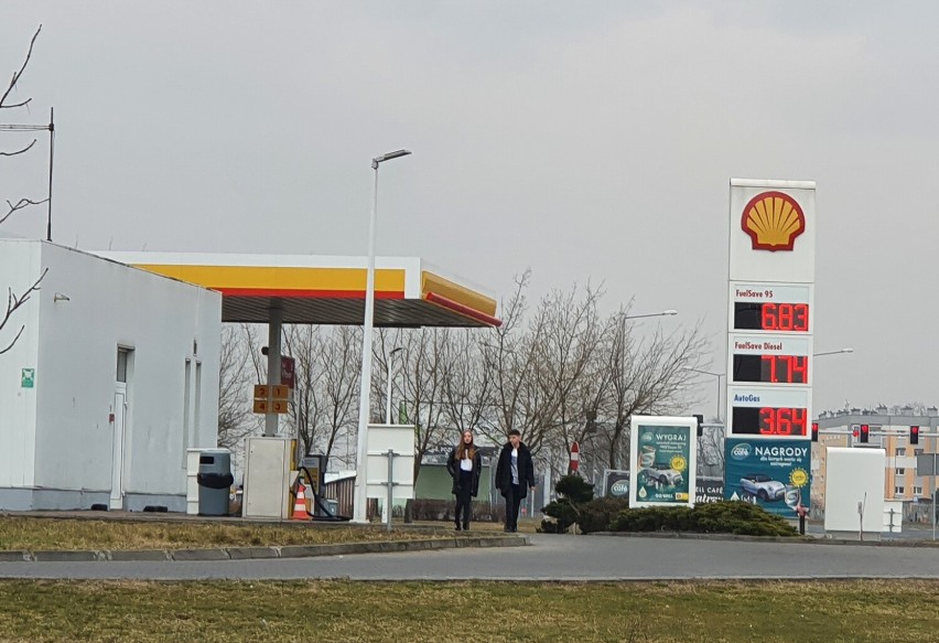Ceny paliw w Lesznie 16 marca 2022. Widać wszędzie tendencję do lekkiego zejścia w dół ZDJĘCIA