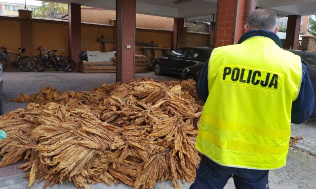 Policjanci zabezpieczyli nielegalny tytoń