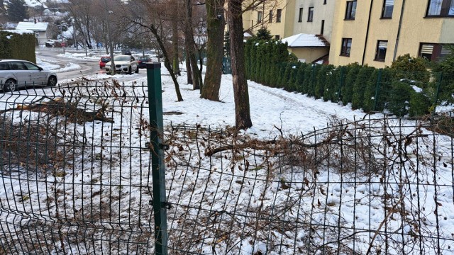 Wandale znowu zdewastowali Zielony Zakątek w Bielsku-Białej