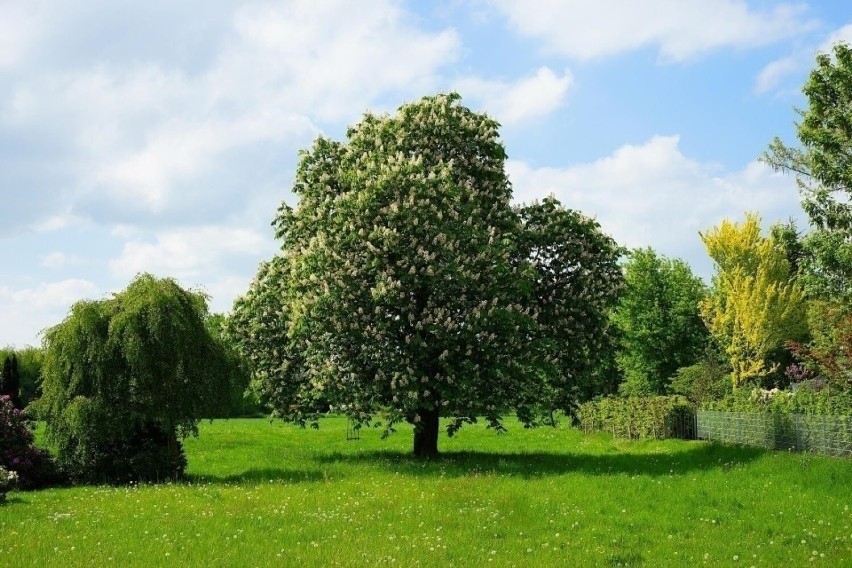 Stary Jamielnik , 21-450 Stoczek Łukowski,...