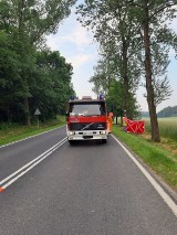 Śmiertelny wypadek na trasie Miastko - Słupsk 28.06.2020 r. Motocyklista uderzył w drzewo i zginął na miejscu [zdjęcia]