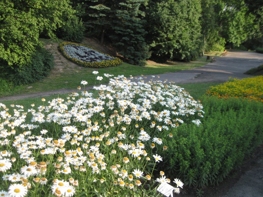 Ogród Botaniczny w Lublinie zaprasza na spacery z przewodnikiem 