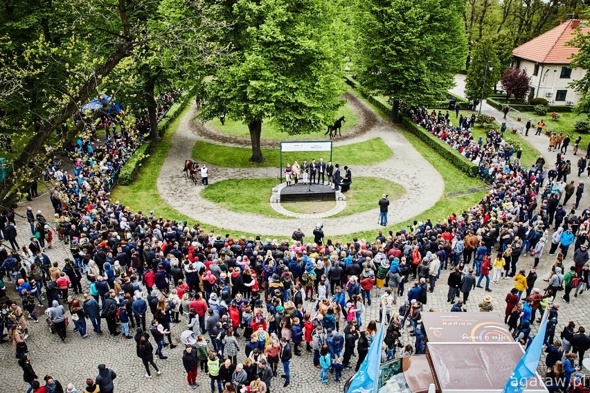 Wrocław. Weekend na Partynicach. Zobacz, co się będzie działo (HARMONOGRAM, ATRAKCJE) 