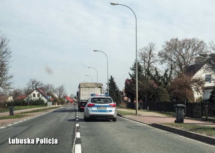 Policjanci walczą z rozprzestrzenianiem się ptasiej grypy w...