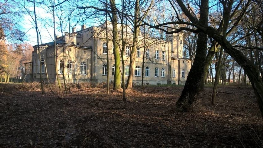 Pałac zbudowany został dla Antoniego Czarneckiego w 1870...