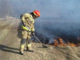 Kilkadziesiąt pożarów w okolicy Żar. Wypalanie traw, celowe podpalenia są bardzo niebezpieczne