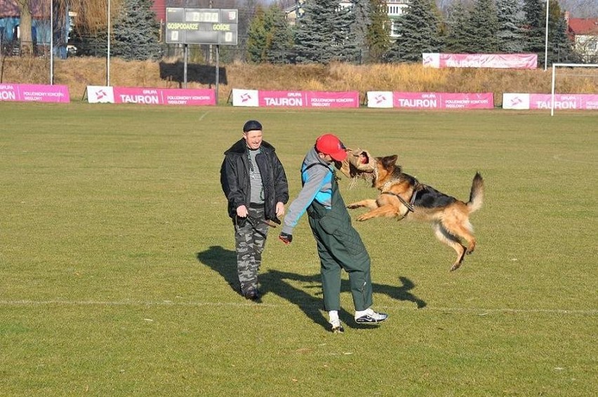 TOZ w Jaworznie. Miłośnicy zwierząt zapraszają na pokaz szkolenia psów