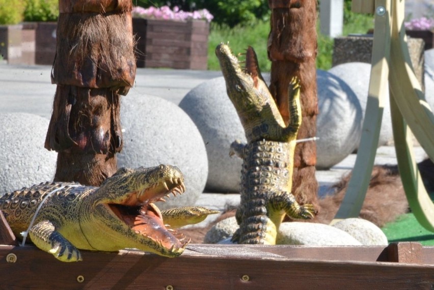 Krokodyle, hamaki, leżaki i inne atrakcje w centrum Kielc