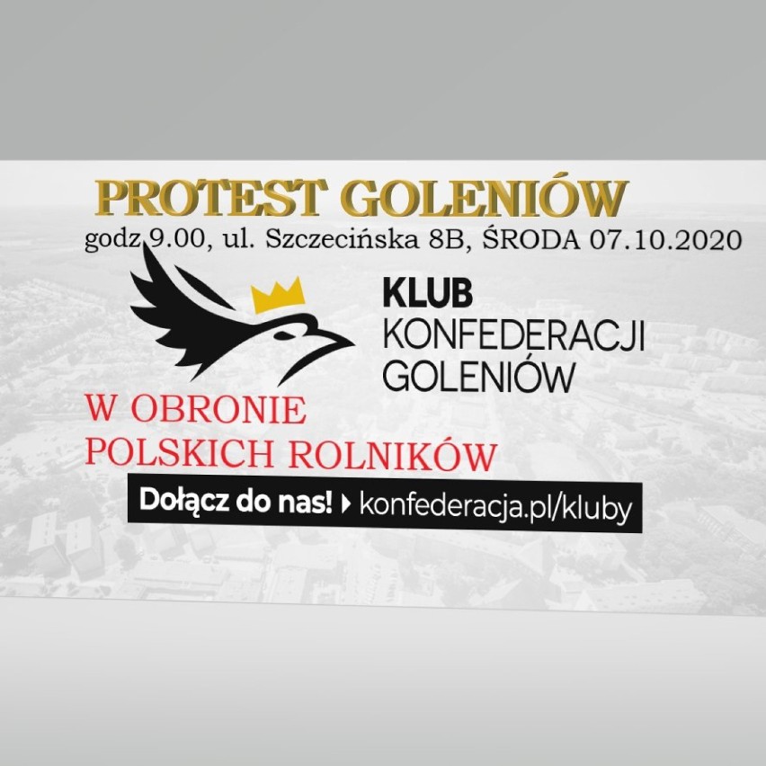 Będzie protest pod siedzibą PiS w Goleniowie. Konfederacja przeciwko "Piątce dla zwierząt"